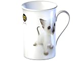 Review HANA DEKA  / Hana Deka Bone China Coffe Mug / Gift Box - White Kitten