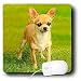 chihuahua3  - Dogs Chihuahua Chihuahua Mouse Pads