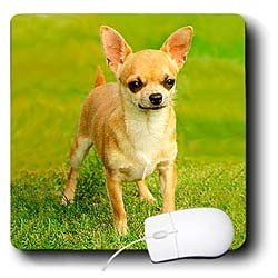 image link -  - B000EGN2ZU