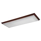 American Fluorescent RML432RWR8 Portman 4-32 Watt T8 Linear Light Fixture, Rosewood Finish... by American Fluorescent&node=228013