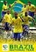 2006FIFA ワールドカップドイツ オフィシャルライセンスDVD 「ブラジル代表 戦いの軌跡」