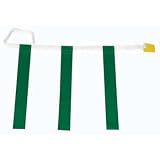 Champion Sports Triple Flag Football Set - Green - Available by the dozen