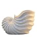 NAUTICAL SHELL FLOWER POT - NAUTICAL SHELL FLOWER POT