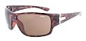 Sinner Armiger unisex sunglasses Tortishell frame brown tint UV400 lens CE Approved