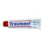 HEEL Traumeel Ointment 100 GM
