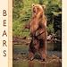 Book Wildlife Bears