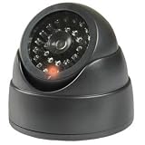 Dummy IR Dome Camera w/LED Light 31Z8fxCr6gL. SL160 Dummy IR Dome Camera w/LED Light
