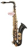Student Tenor Saxophone Black with Case TERN-BK