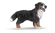 Schleich Bernese Dog, Standing 16339