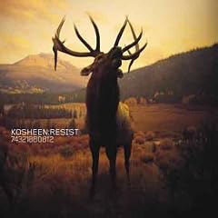 Resist [Vinyl LP]