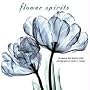 FLOWER SPIRITS; The Beauty That Blooms Within