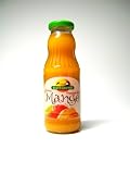 Brazil Gourmet Mango Nectar, 6/10oz bottles