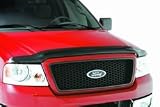 Auto Ventshade 25314-C Bugflector II Clear Colored Stone and Bug Deflector
