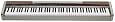 Casio PX-100 Privia 88-Key Digital Piano
