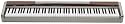 Casio PX-100 Privia 88-Key Digital Piano