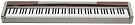 Casio PX-100...
