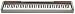 Musical Instruments : Casio PX-100 Privia 88-Key Digital Piano
