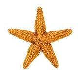 Safari: Orange Starfish