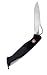 Wenger 16317 Ranger 51 With Clip Swiss Army Knife