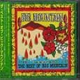 Best of Big Mountain by 