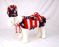 Warm and Coazy Patriotic 