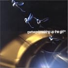 Click here to buy Breaking Up the Girl, Pt. 3 by  Garbage .