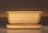Bonsai Boy's Rectangle - Glazed Mustard<br>5.0x4.0x2.2