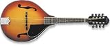 Washburn Mandolin A Style