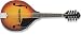 Washburn Mandolin "A" Style