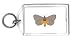 Keychain with gray, butterfly