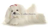 Wildlife / Domestic Animals : Magnolia the Shih Tzu Dog 12
