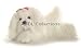 shih tzu - Wildlife / Domestic Animals : Magnolia the Shih Tzu Dog 12