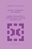 Lightlike submanifolds of semi-Riemannian manifolds and applications