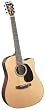 Blueridge BR-40CE Contemporary Dreadnaught Cutaway Guitar with Fishman Classic 4T Pickup