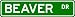 BEAVER Street Name Sign ~ Personalized Family Lastname Sign ~ Gameroom, Basement, Garage Sign
