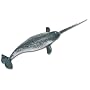 Monterey Bay Aquarium - Narwhal