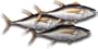 Yellowfin Tuna Steaks, 1 Pound