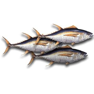 Yellowfin Tuna Steaks, 1 Pound by Fresh Choice Seafood