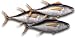 Yellowfin Tuna Steaks, 1 Pound