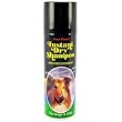 Instant Dry Shampoo w/ Deodorant - 7 oz.