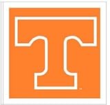 Tennessee Volunteers NCAA Stick Flag