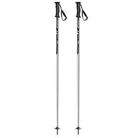 Fischer Sport Pole