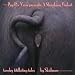 Search : A Shrinking Violet