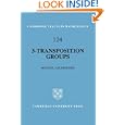 3-Transposition Groups (Cambridge Tracts in Mathematics) by Michael Aschbacher