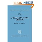 3-Transposition Groups (Cambridge Tracts in Mathematics) by  Michael Aschbacher