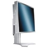 NEC MultiSync LCD1990SXi 19