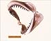 Shark Jawbone Animals Art Poster Print, 28x22 Image