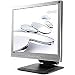 Benq FP73E 17 Zoll TFT Monitor schwarz/silber DVI