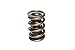 Competition Cams 9291 Spring Assembly