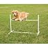PetSafe Agility Bar Jump